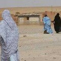 الصحراء الغربية: ثلاثة عقود من الوضع المعلق