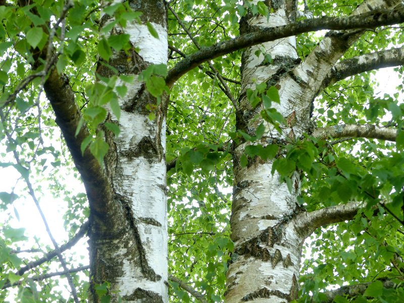 P1630166
