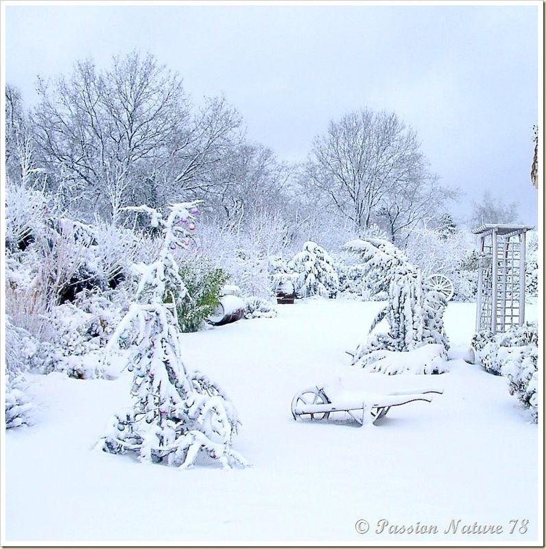 Notre jardin en hiver (18)