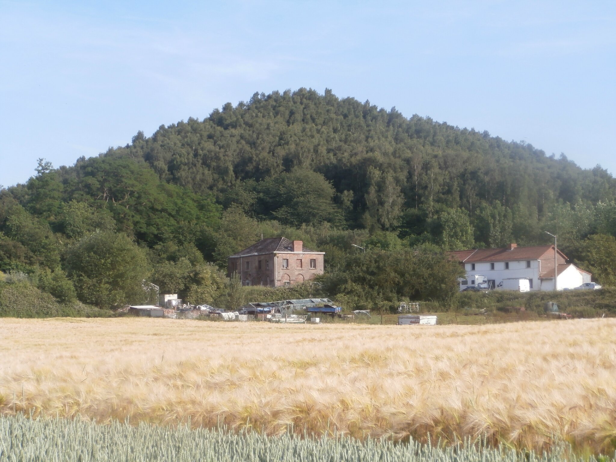 Wasmes Terril Marcasse - P6126148