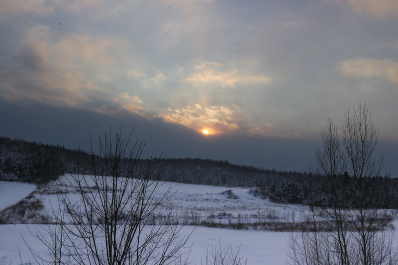 IMG_8392-1