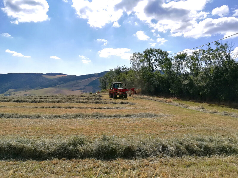 paysage de fenaison (3) 14 juillet 2019