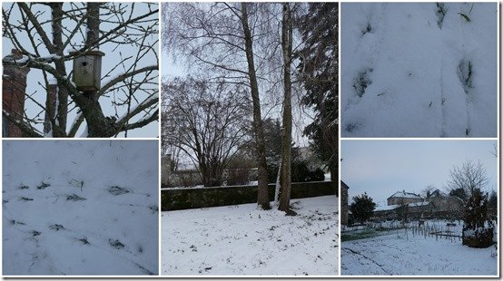 jardin 19 janvier 20243