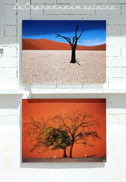 La Gacilly arbres désert