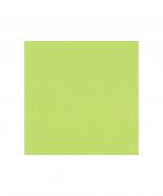 papier-uni-scrapbooking-carterie-vaessen-pistachio