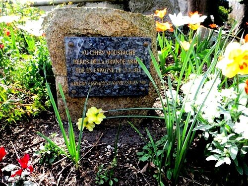 Cimetiere-des-Chiens-Moustache-memorial-stele