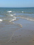 skagen