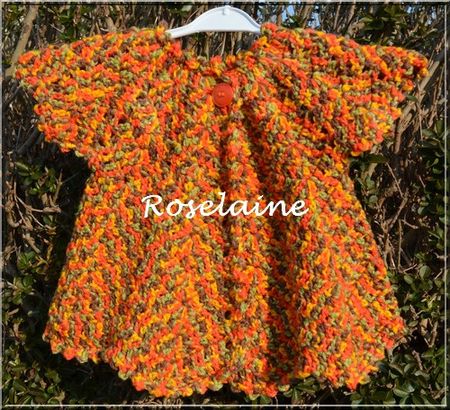 Roselaine96 gilet pétale avril