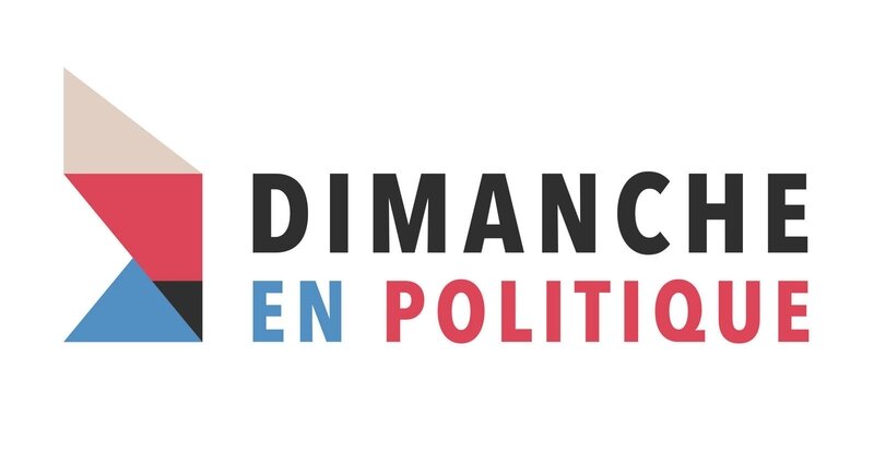 DIMPOL LOGO