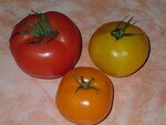 3_tomates