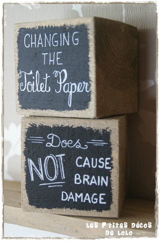 toilet paper2