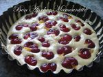 Gâteau aux prunes rougeâtres sauvages de juillet 002