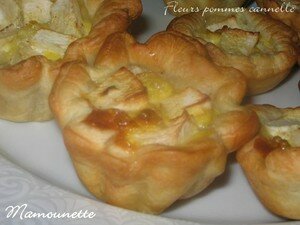 Fleurs_pommes_cannelle_007