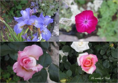 Fleurs