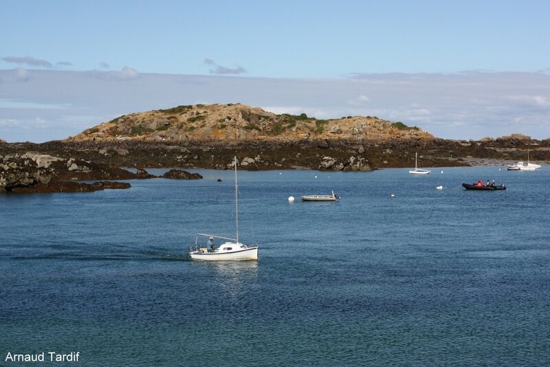 00940 Bretagne Saint-Coulomb - L'Ile Chausey - Le Sound et le Grand Colombier