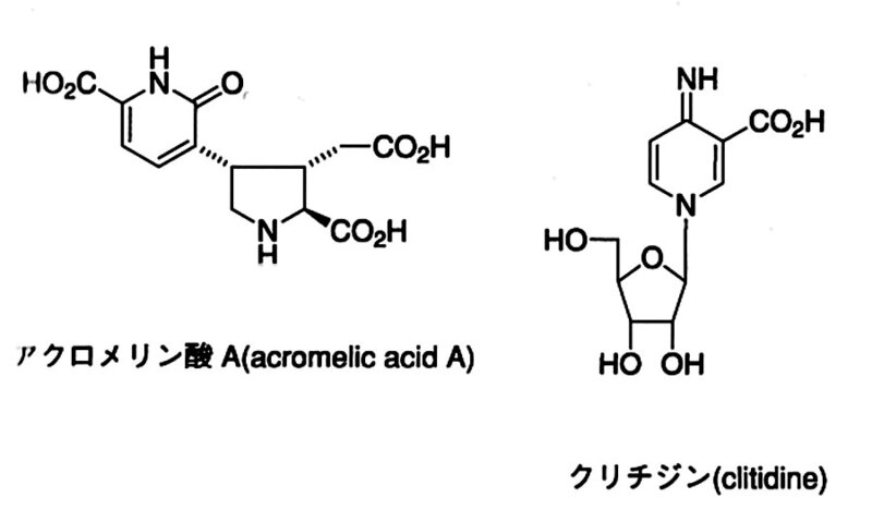acromelic