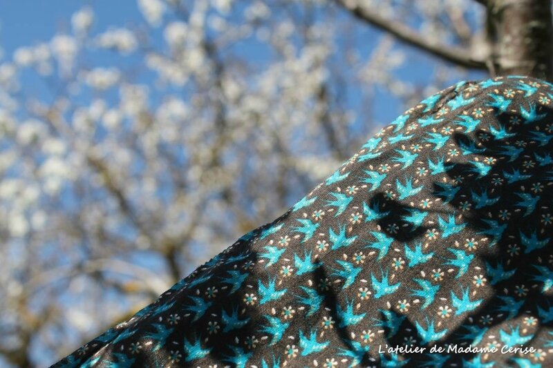 detail-trousse-hirondelle