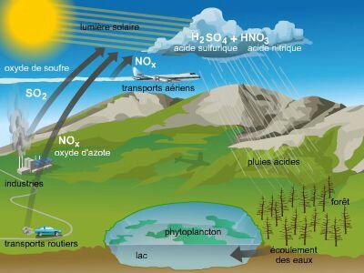 1101026-Pluies_acides