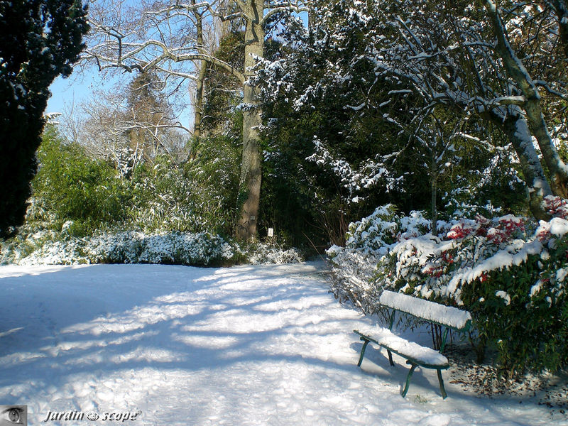 Le jardin botanique de Tours sous la neige