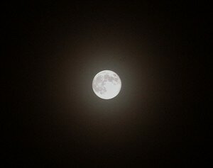 full_moon