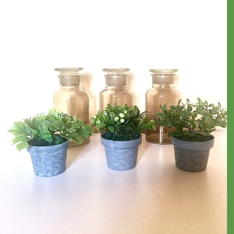 02 plantes