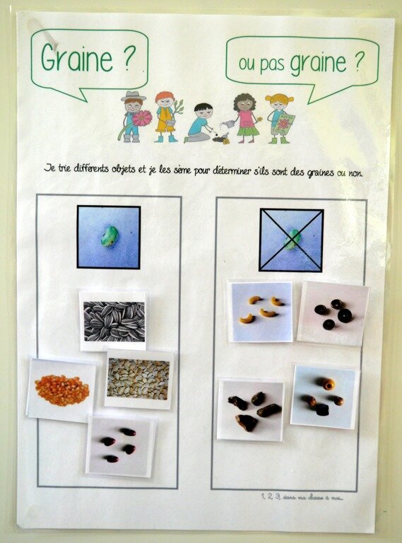 Windows-Live-Writer/Projet-TOUS-AU-JARDIN-_F95C/P1040300
