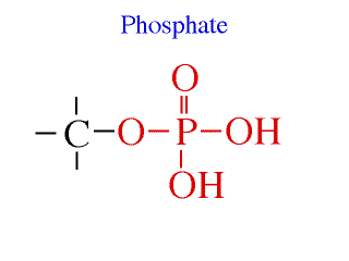 chélation du phosphate