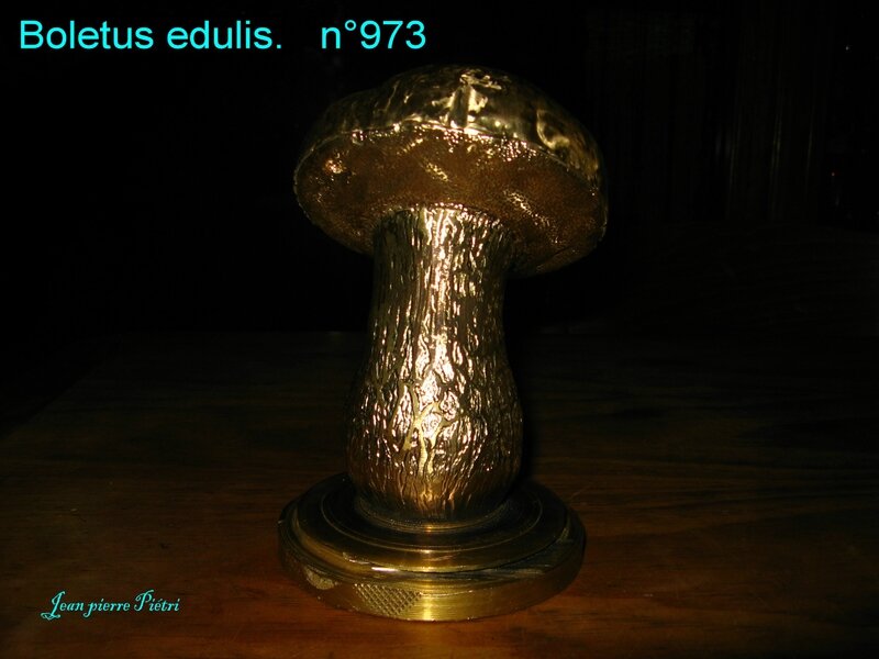 Boletus edulis n°973