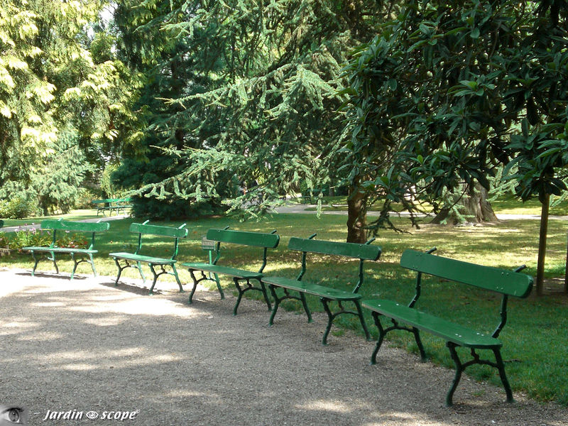 Alignement de bancs au Jardin botanique de Tours
