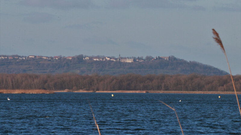 IMG_1962 - Copie