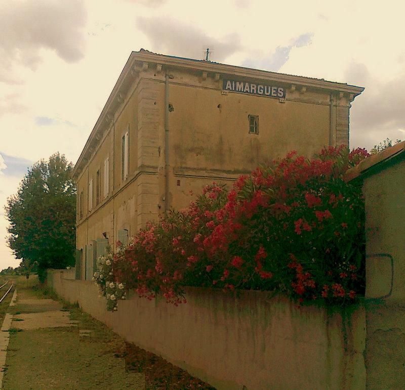Aimargues (Gard)