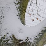 2012-12-077