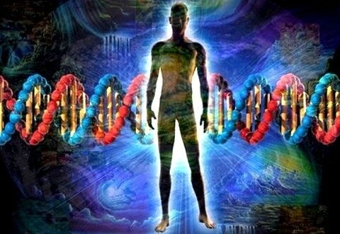 adn-humano