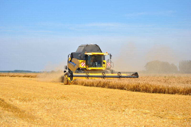 baromesnil moisson ledoux 16-07-2019 001 (36)