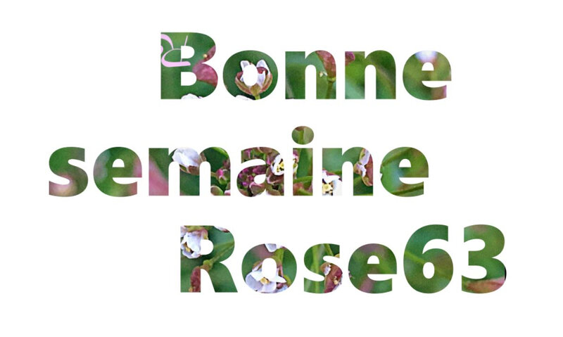 @ + Bonne semaine Rose63