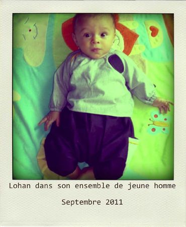 Lohan pola petit