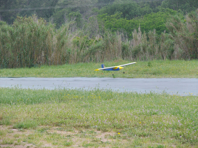 IMGP8911