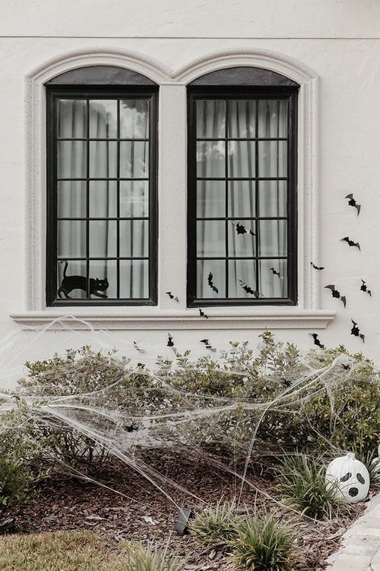 halloween_black_cat_and_bats