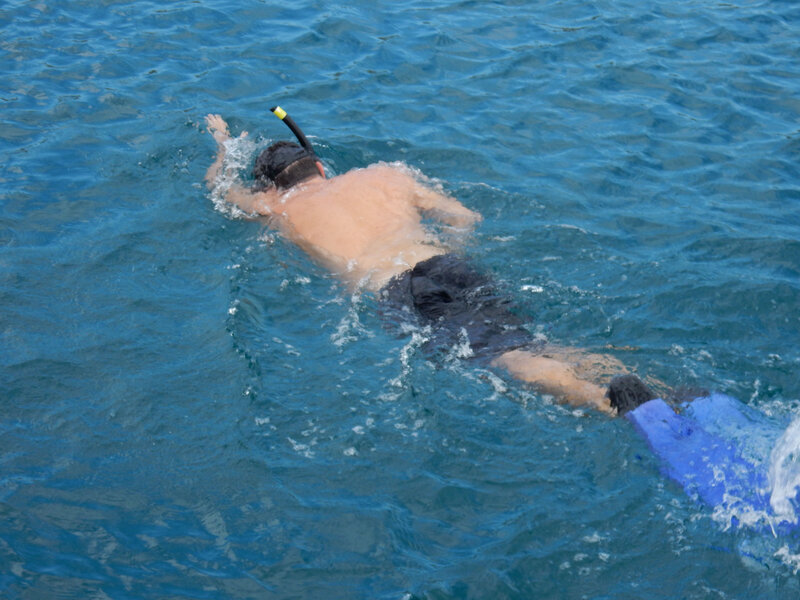 Uvala Cuscica, baignade, jeudi 29 octobre 2020 (2)