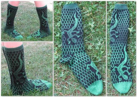 lizard_socks