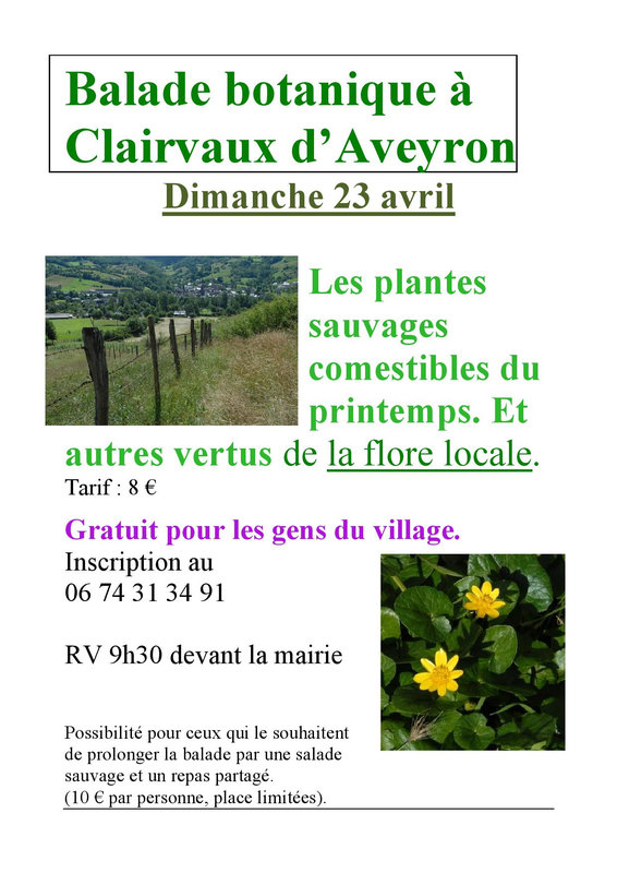 23 avril Balade botanique à Clairvaux