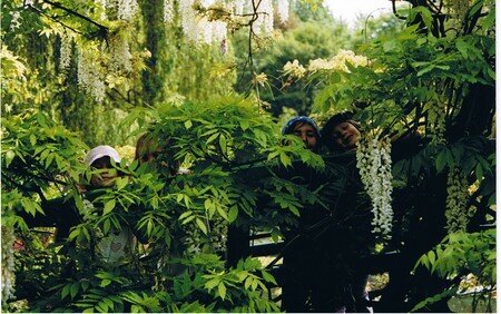 giverny2002__24_