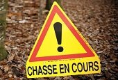 chasse_en_cours