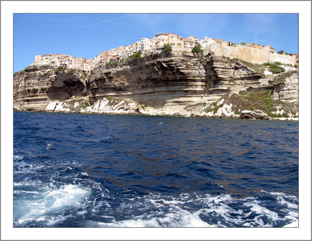 bonifacio_01