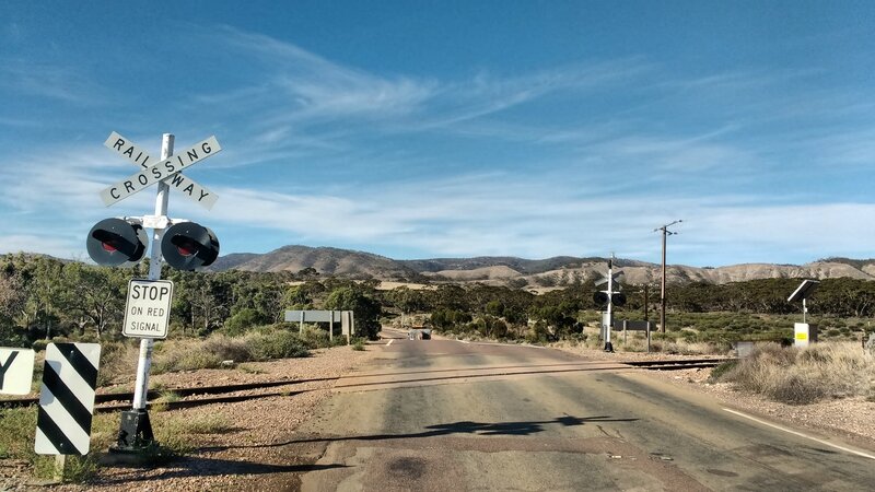 Plaine de Nullarbor (47)