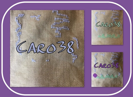 caro38_salmai21_col1