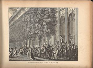 Première motion au palais royal 12 juillet 1789