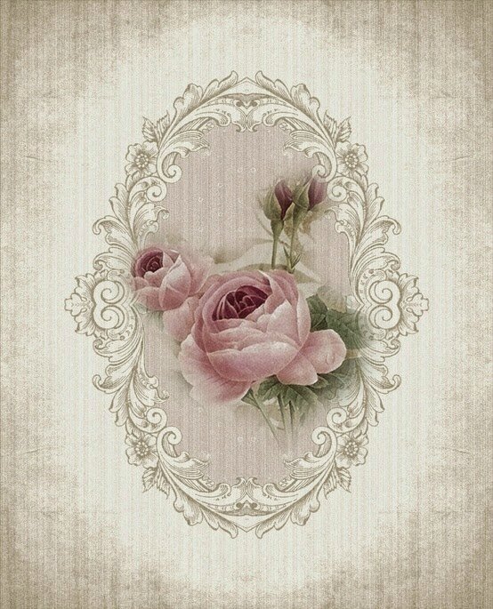 image ancienne grand format rose