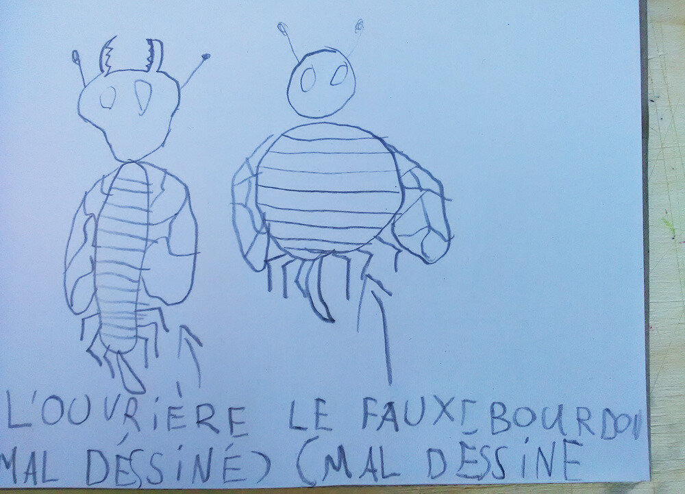 cassiop30Mars19