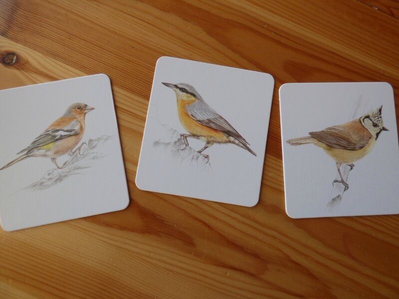 Coffret Montessori oiseaux (5)